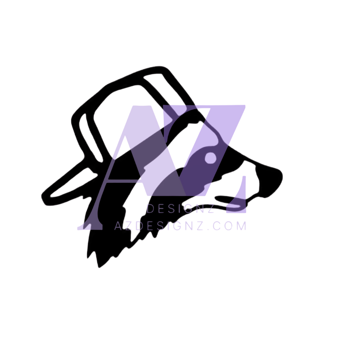 Raccoon with Hat